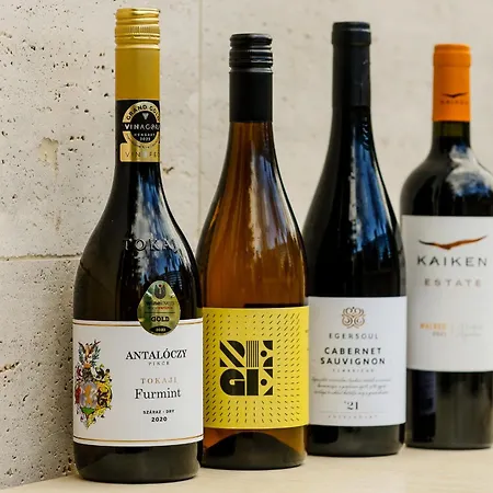 Lumen Gasztropanzio 4*