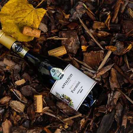 Lumen Gasztropanzio 4* Eger