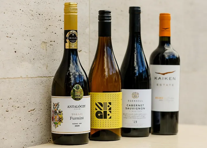 Lumen Gasztropanzio 4*